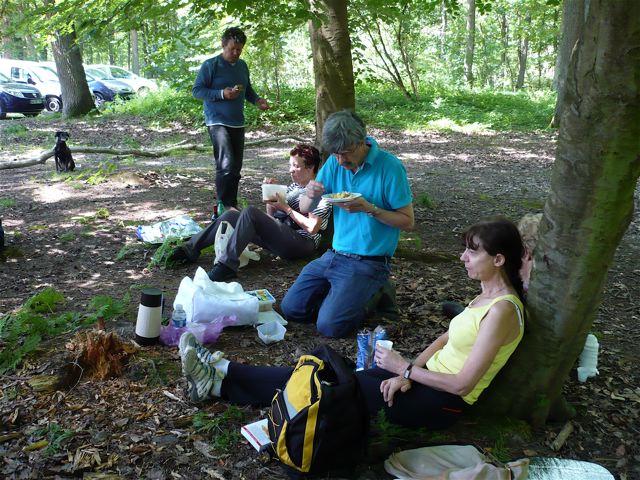 PorteBaudet piquenique nb